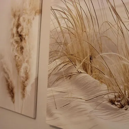 Blackstone * فاراتسي